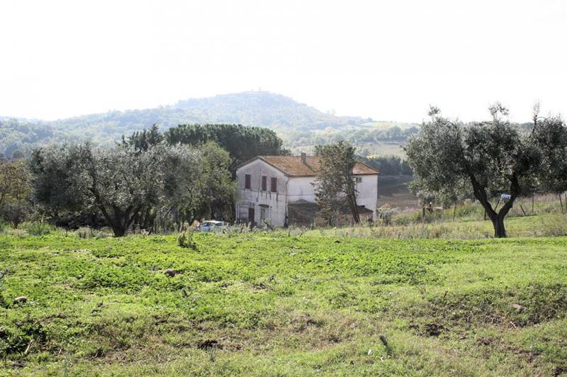 Rustico casale in Apparita in zona Montiano a Magliano in Toscana