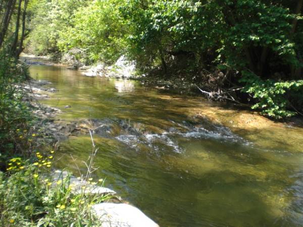 Rustico casale da ristrutturare a Pellegrino Parmense