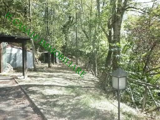 COLONICHE - COMPLESSO COLONICO - VICCHIO