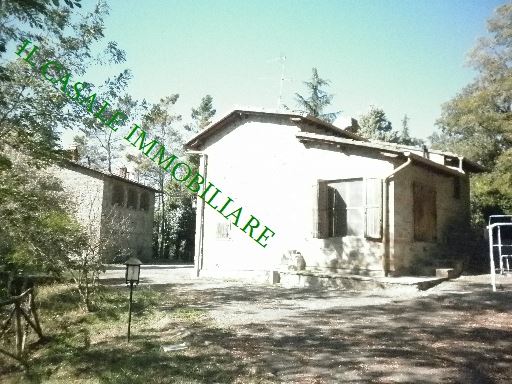 COLONICHE - COMPLESSO COLONICO - VICCHIO