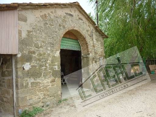 COLONICHE - AZIENDA AGRICOLA - PELAGO