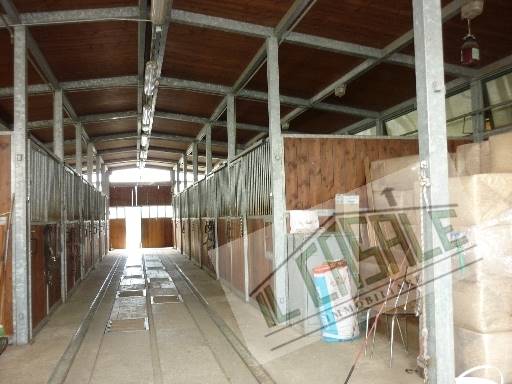 COLONICHE - AZIENDA AGRICOLA - PELAGO