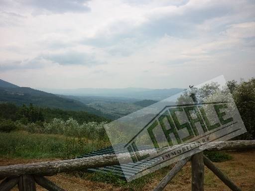 COLONICHE - AZIENDA AGRICOLA - PELAGO