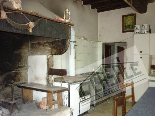 COLONICHE - AZIENDA AGRICOLA - PELAGO