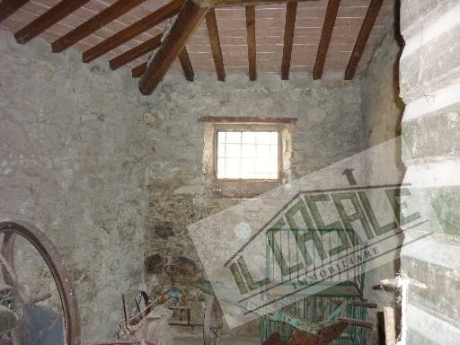 COLONICHE - AZIENDA AGRICOLA - PELAGO