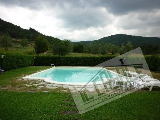 COLONICHE - AZIENDA AGRICOLA - PELAGO