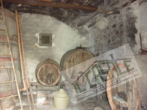 COLONICHE - AZIENDA AGRICOLA - PELAGO