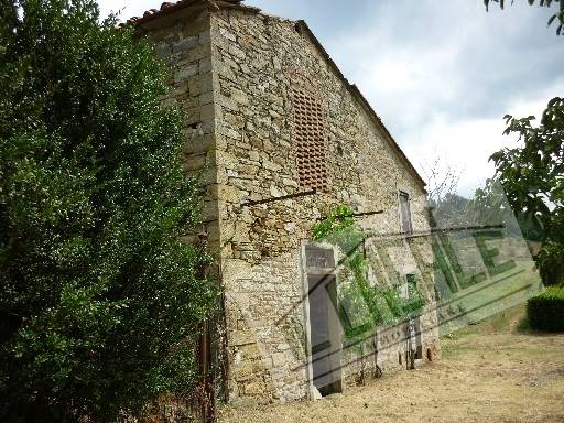 COLONICHE - AZIENDA AGRICOLA - PELAGO