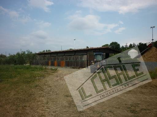 COLONICHE - AZIENDA AGRICOLA - PELAGO