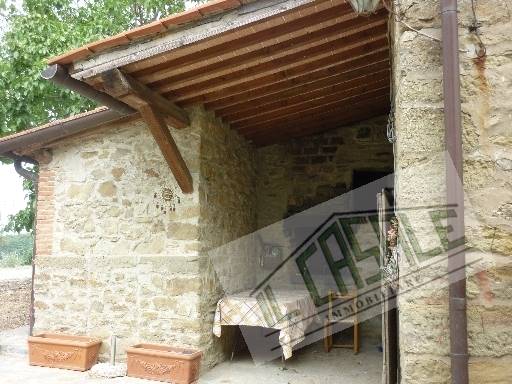 COLONICHE - AZIENDA AGRICOLA - PELAGO