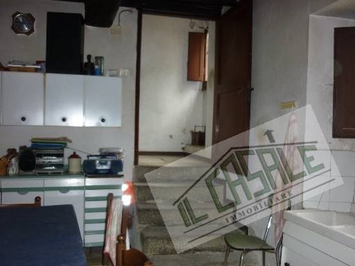 COLONICHE - AZIENDA AGRICOLA - PELAGO