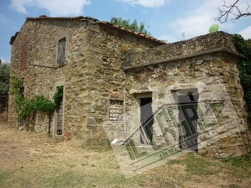 COLONICHE - AZIENDA AGRICOLA - PELAGO
