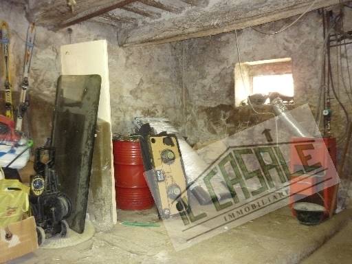 COLONICHE - AZIENDA AGRICOLA - PELAGO