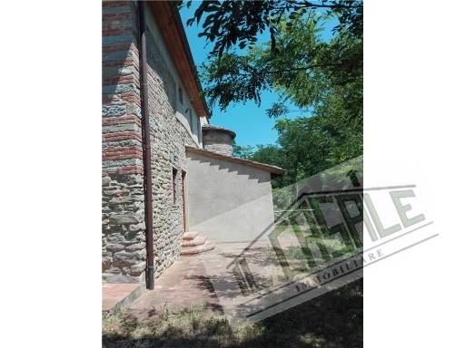 COLONICHE - PORZIONE DI COLONICA - VICCHIO