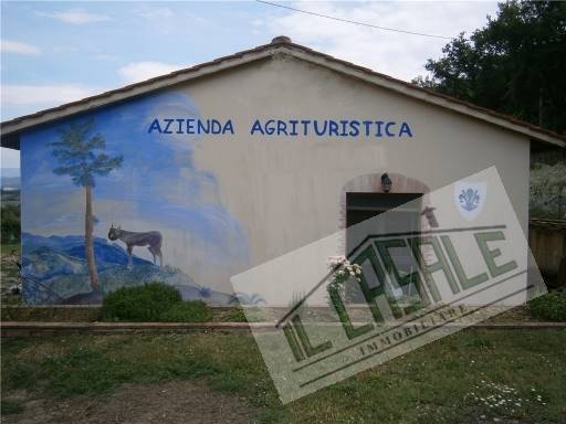 COLONICHE - AZIENDA AGRICOLA - VICCHIO