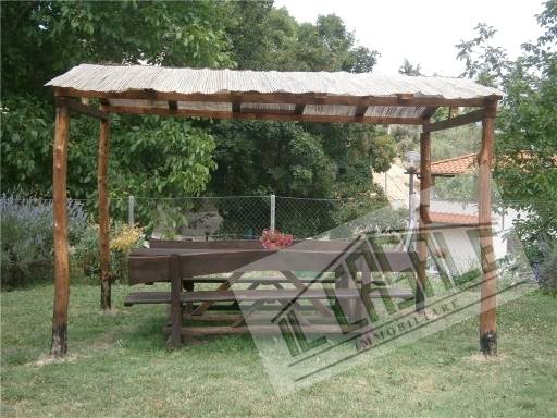 COLONICHE - AZIENDA AGRICOLA - VICCHIO