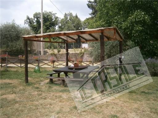 COLONICHE - AZIENDA AGRICOLA - VICCHIO