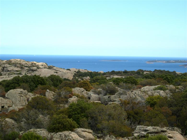 cannigione stazzi con terreni in vendita