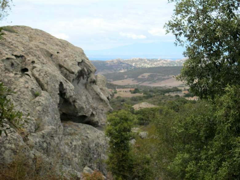 cannigione stazzi con terreni in vendita