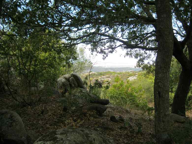 cannigione stazzi con terreni in vendita
