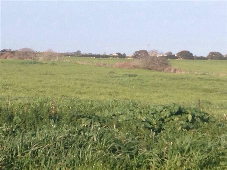 azienda agricola vendesi sassari nurra