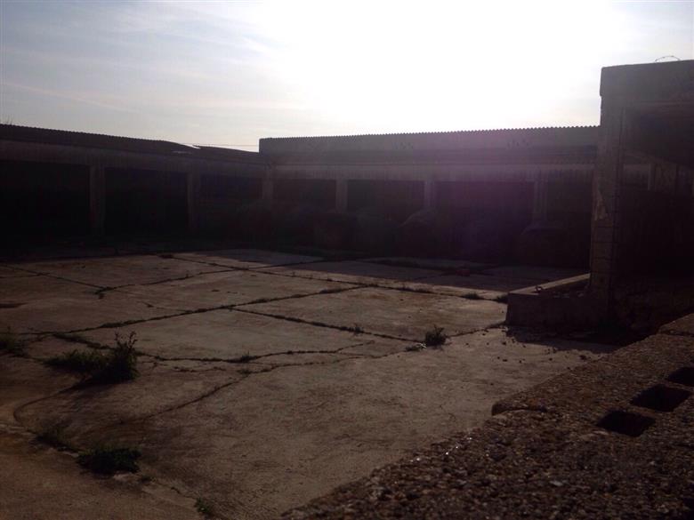 azienda agricola vendesi sassari nurra