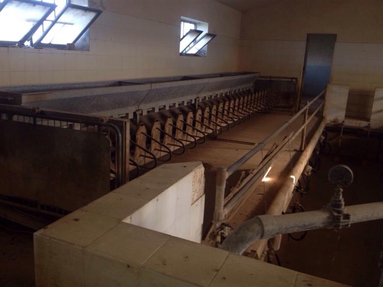 azienda agricola vendesi sassari nurra