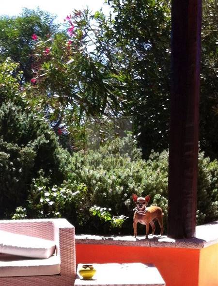 porto cervo villa for sale