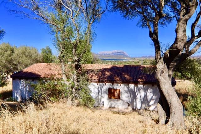 casa indipendente olbia
