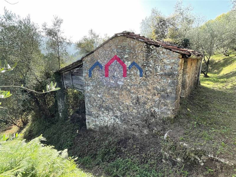 Rustico casale da ristrutturare in zona Cune a Borgo a Mozzano