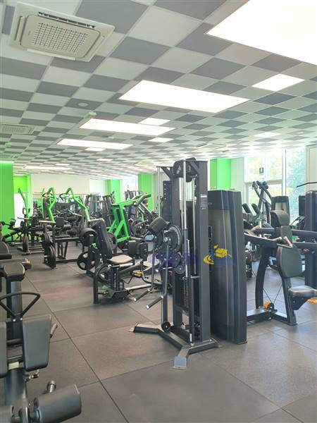 WhatsApp Image 2024-09-03 at 16.38.01(2).jpeg