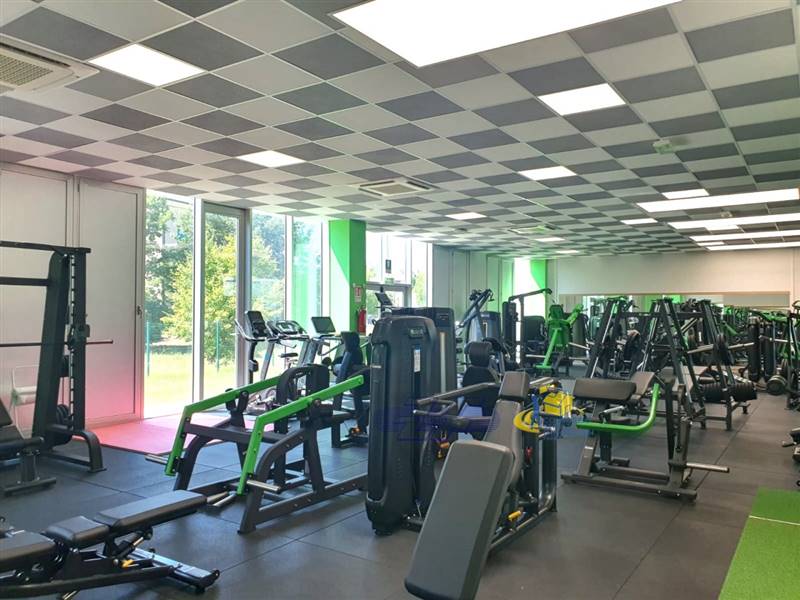 WhatsApp Image 2024-09-03 at 16.37.58(8).jpeg