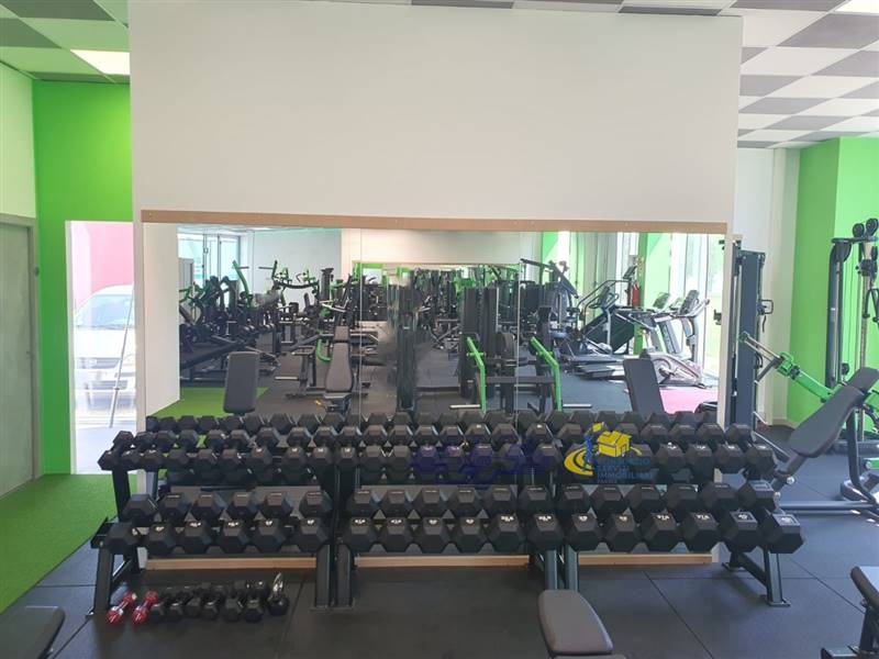 WhatsApp Image 2024-09-03 at 16.37.58(6).jpeg