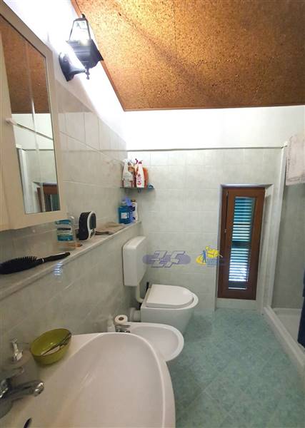 WhatsApp Image 2024-08-20 at 10.07.01.jpeg