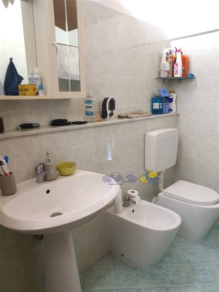 WhatsApp Image 2024-08-20 at 10.07.01(1).jpeg