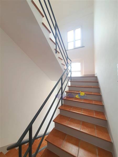 WhatsApp Image 2024-08-20 at 10.45.45.jpeg