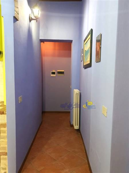 WhatsApp Image 2024-08-20 at 10.07.04(3).jpeg