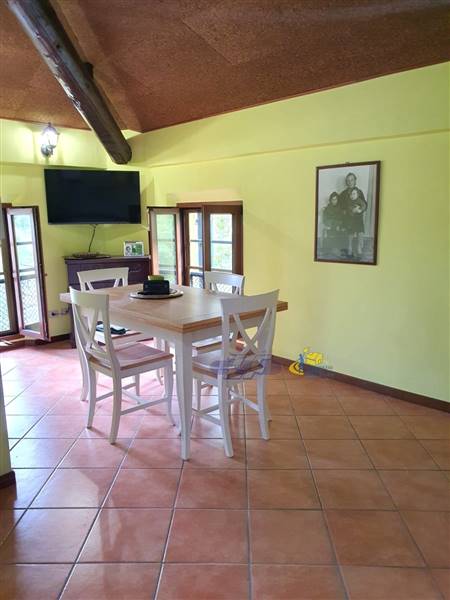 WhatsApp Image 2024-08-20 at 10.07.04.jpeg