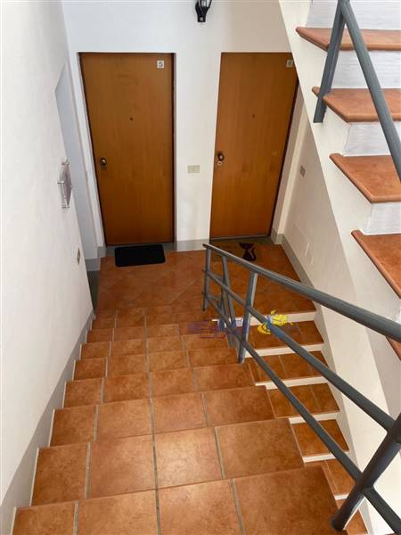 WhatsApp Image 2024-08-05 at 10.20.00 (9).jpeg