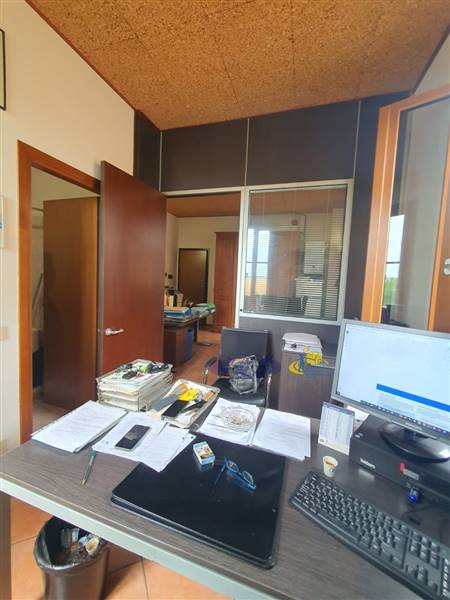 WhatsApp Image 2024-08-20 at 11.14.39(1).jpeg