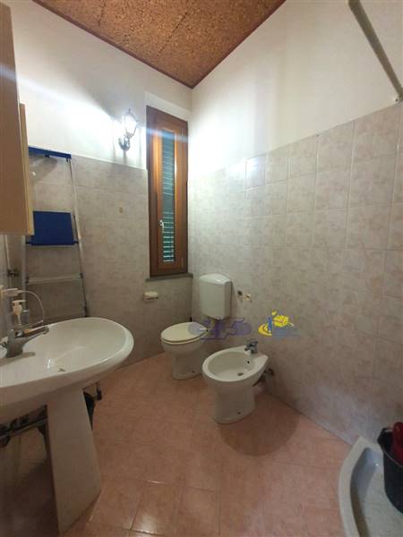 WhatsApp Image 2024-08-20 at 11.14.38(1).jpeg