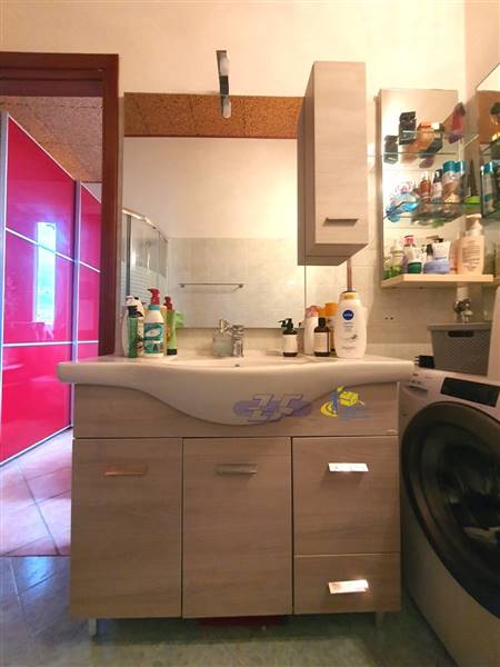 WhatsApp Image 2024-08-20 at 11.18.01.jpeg