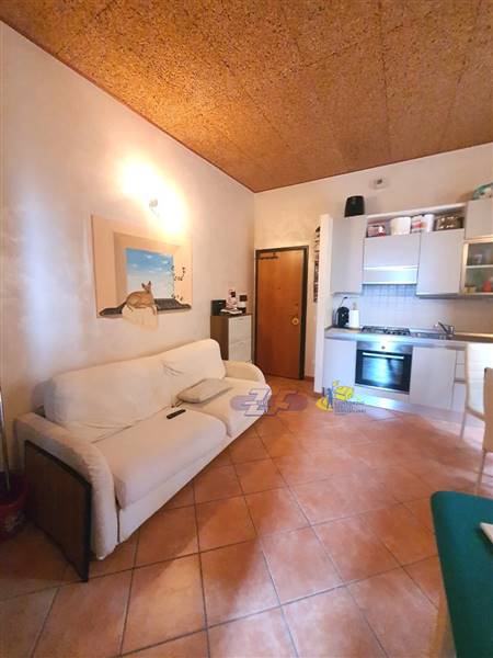 WhatsApp Image 2024-08-20 at 11.17.58(1).jpeg