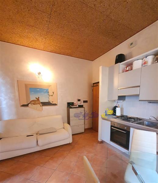 WhatsApp Image 2024-08-20 at 11.17.55.jpeg