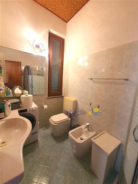 WhatsApp Image 2024-08-20 at 11.18.00.jpeg