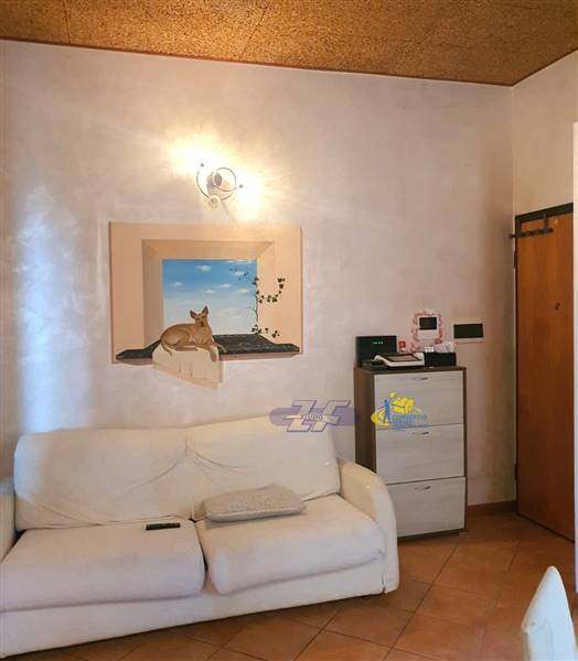 WhatsApp Image 2024-08-20 at 11.17.56.jpeg