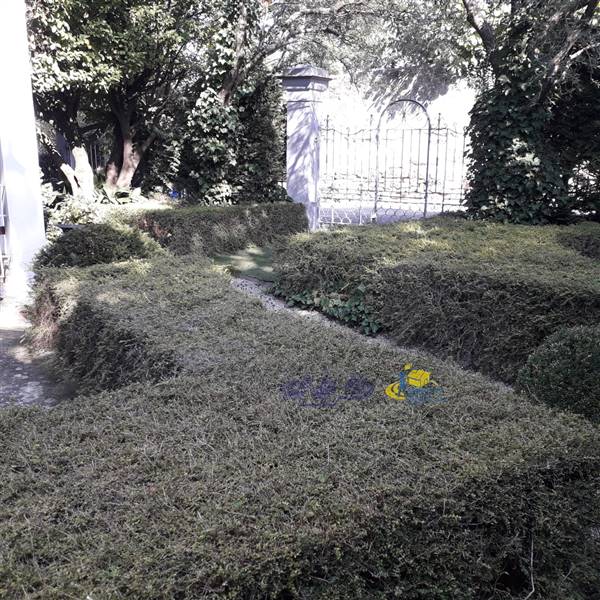 A giardino anteriore (9).jpg