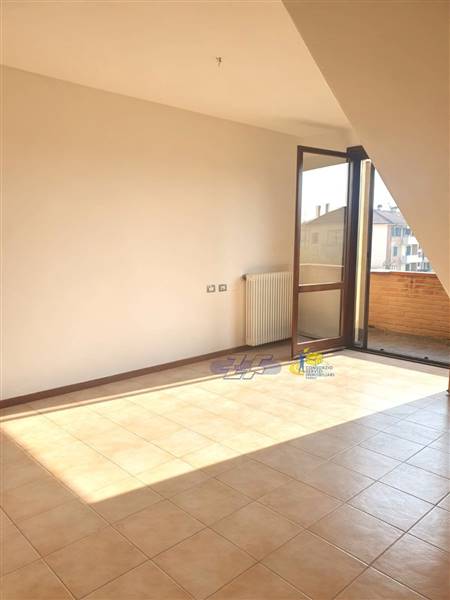 WhatsApp Image 2025-02-24 at 11.43.32 (1).jpeg