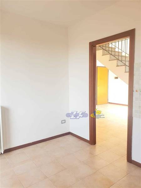 WhatsApp Image 2025-02-24 at 11.43.34.jpeg