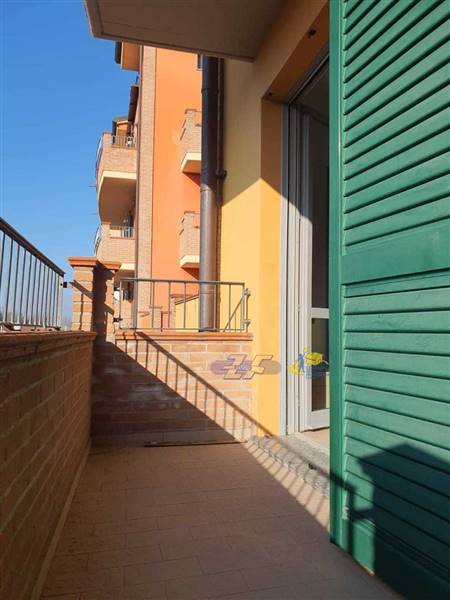 WhatsApp Image 2025-02-06 at 15.44.34.jpeg